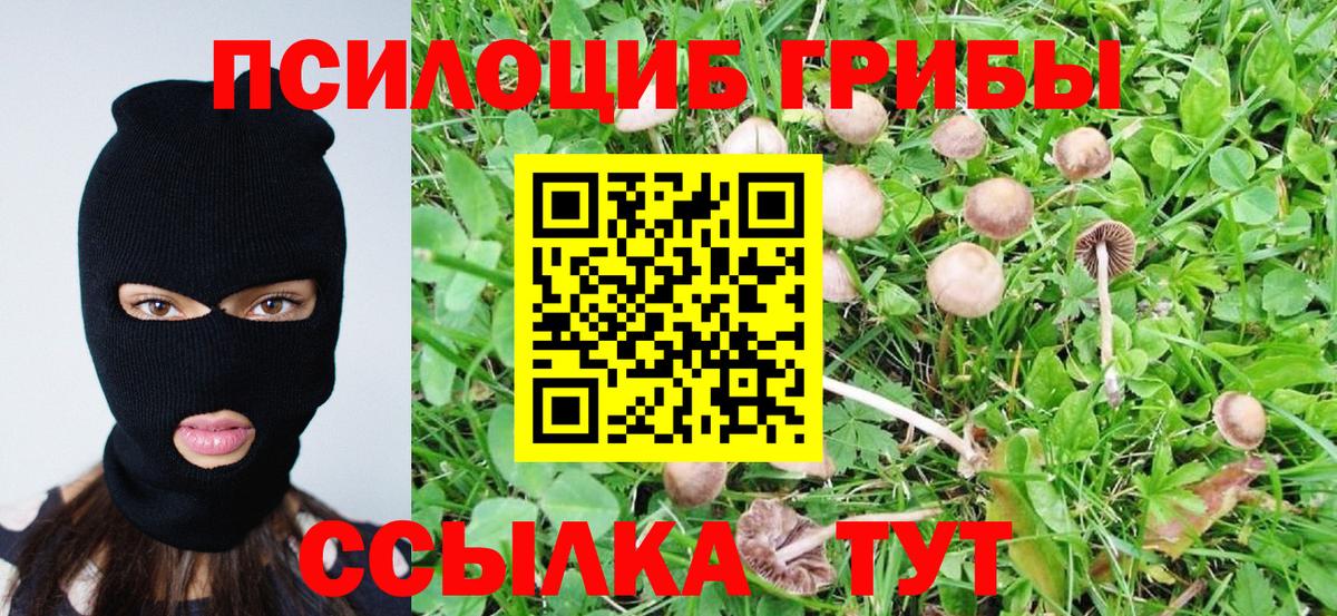 МЕФ Майский