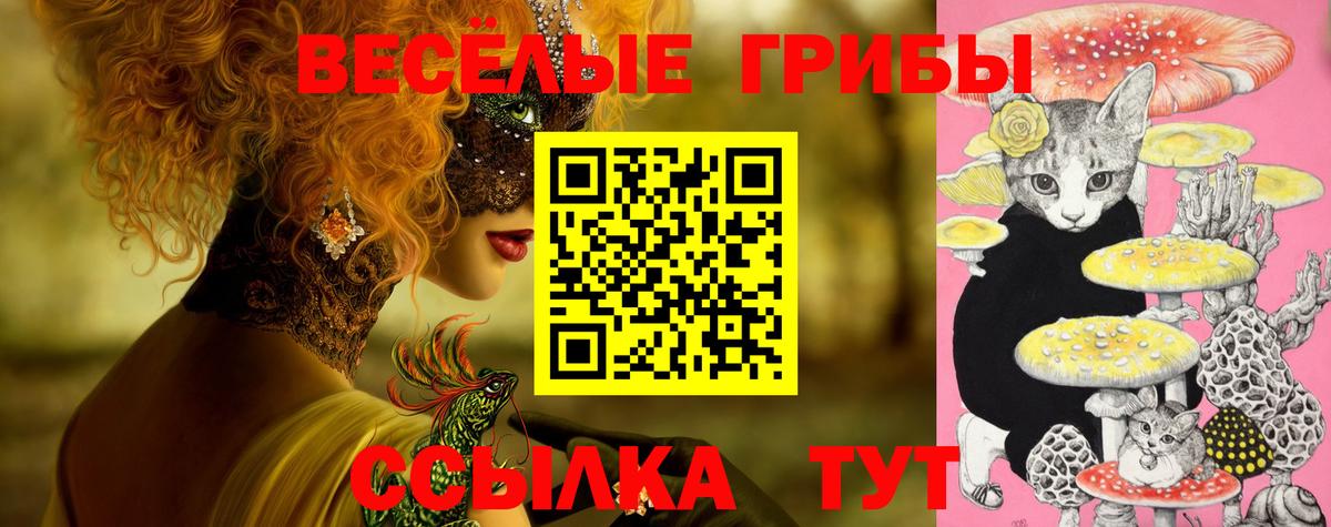 Псилоцибиновые грибы Cubensis Майский