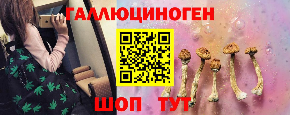 как найти наркотики  Псилоцибиновые грибы Cubensis  Вход с VPN  Майский 